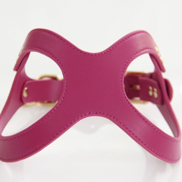 To Beg for Accessories and Treats Premium Vegan Dog Harness Size Small - Picture 1 of 5